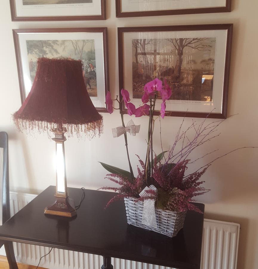Ely House B&B Shannonbridge ภายนอก รูปภาพ