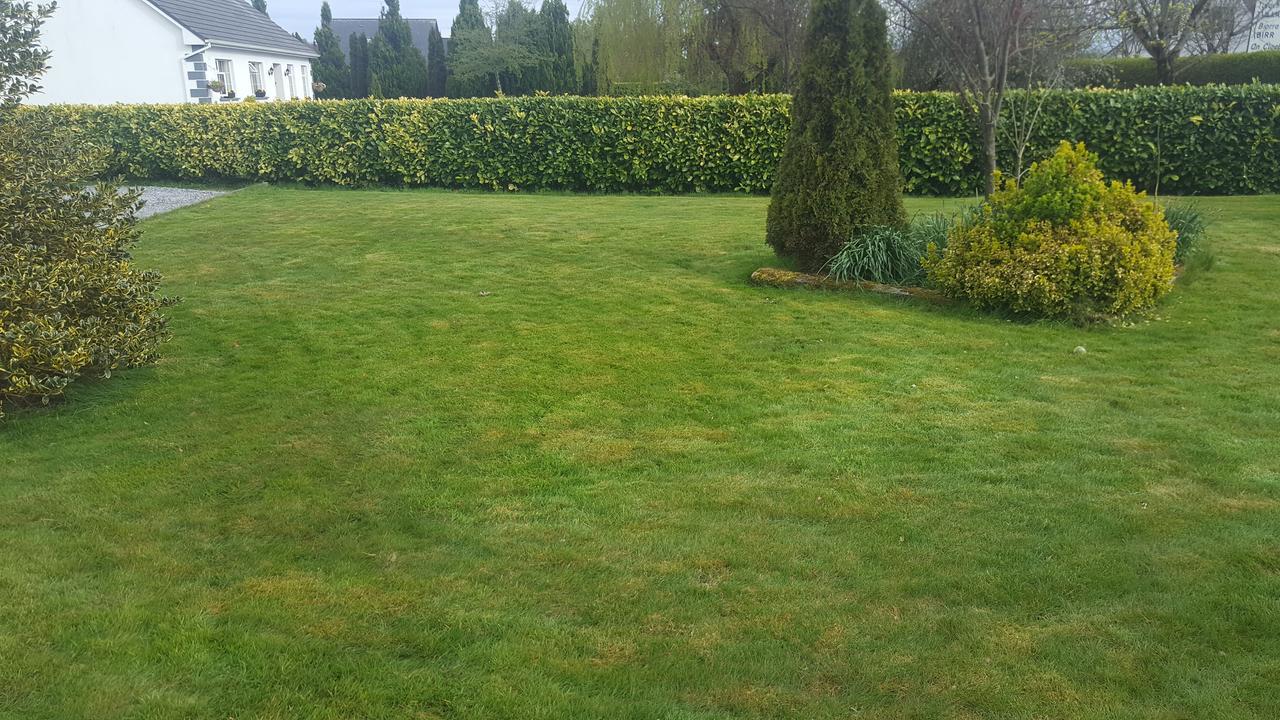 Ely House B&B Shannonbridge ภายนอก รูปภาพ