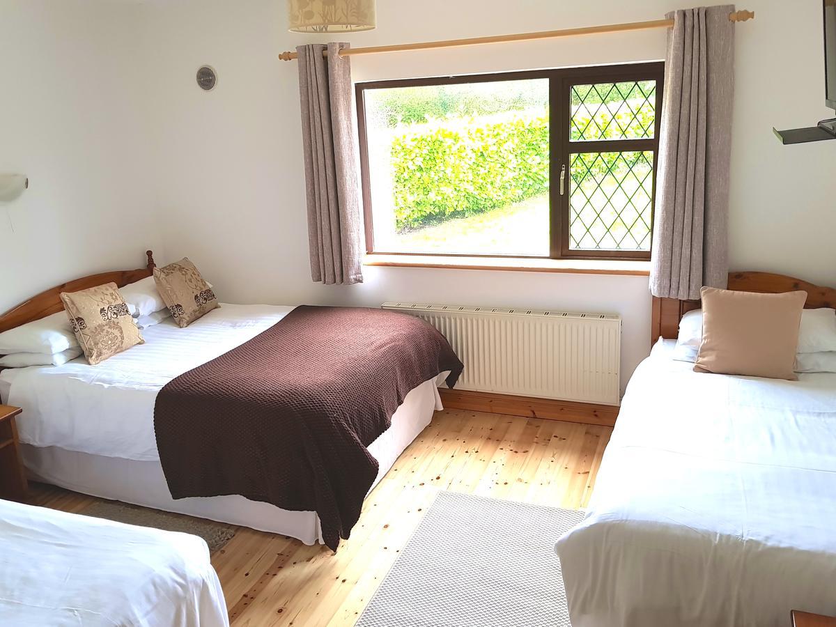 Ely House B&B Shannonbridge ภายนอก รูปภาพ